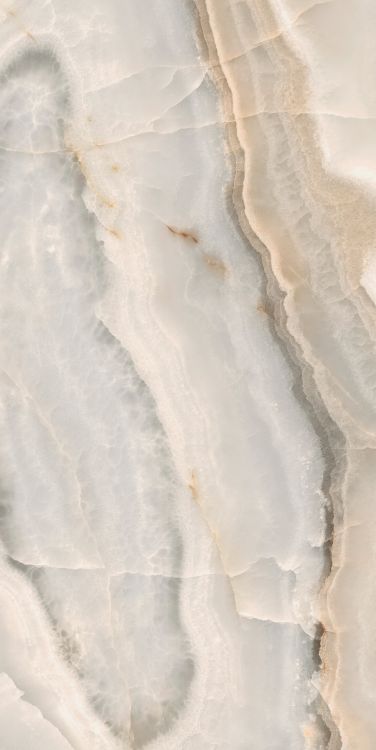 Reves Noisette Matte 24 x 48